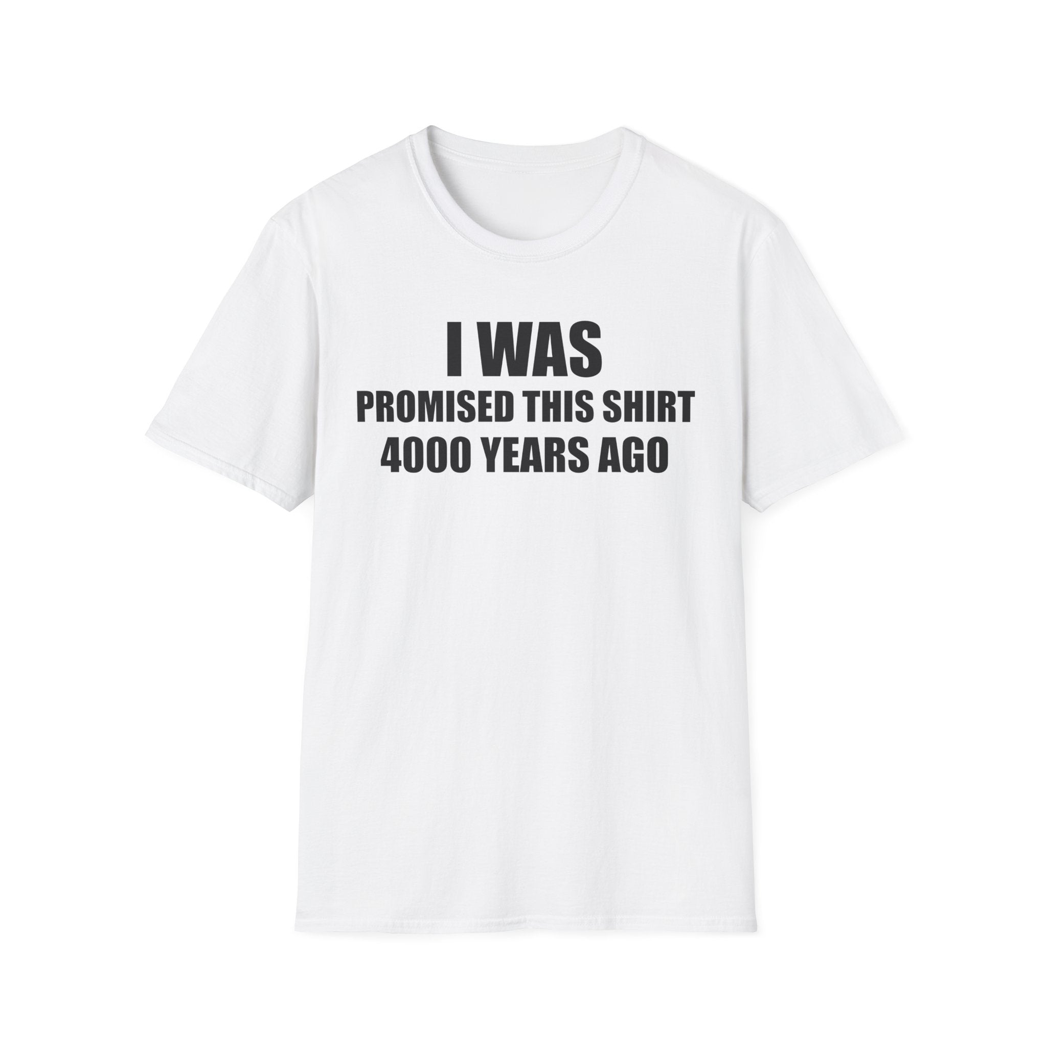 I Was Promised This Shirt 4000 Years Ago T-Shirt