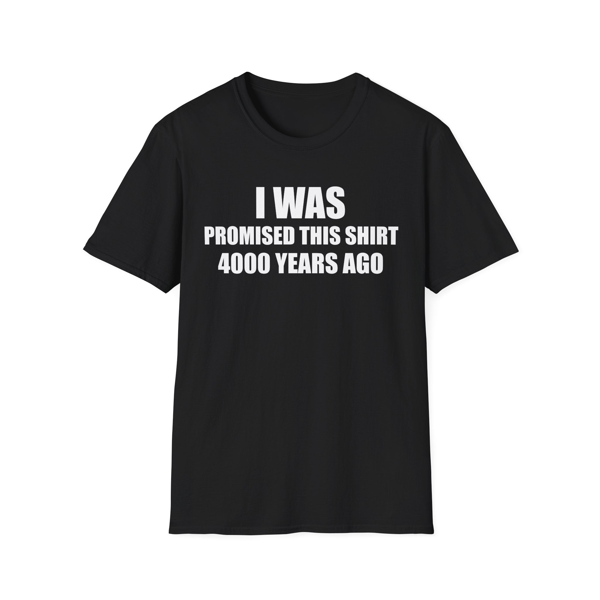 I Was Promised This Shirt 4000 Years Ago T-Shirt